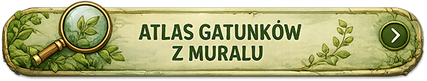 Atlas gatunków z muralu