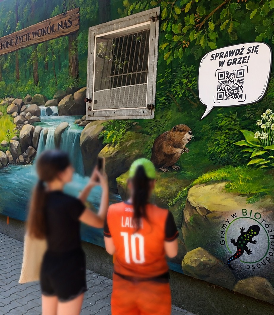 Gra muralowa przy muralu w Żywcu
