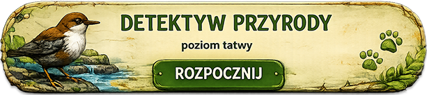 Detektyw Przyrody - dla młodszych odkrywców