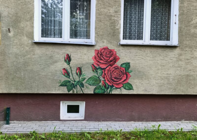 dodatkowy muralik