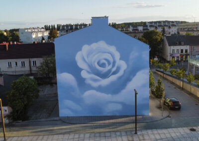 wykonany mural - róża w Kutnie