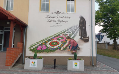 553 Kwietny dywan