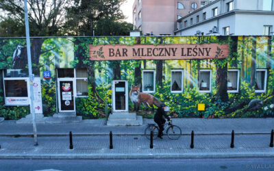 567 Bar Leśny